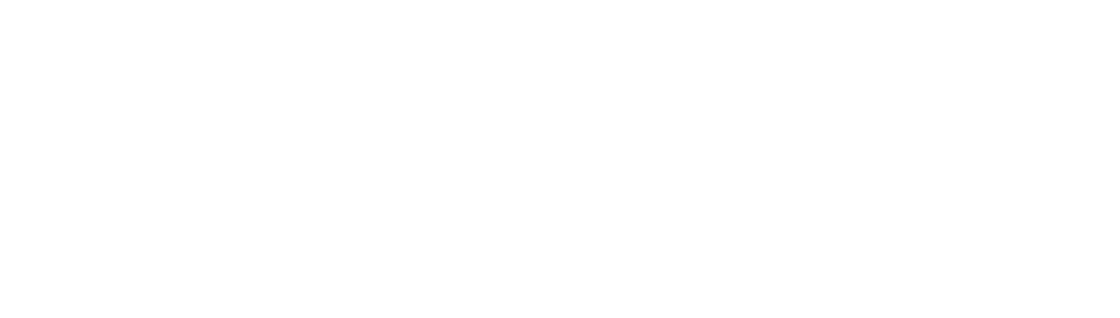 Logo Axcelys Consulting blanc